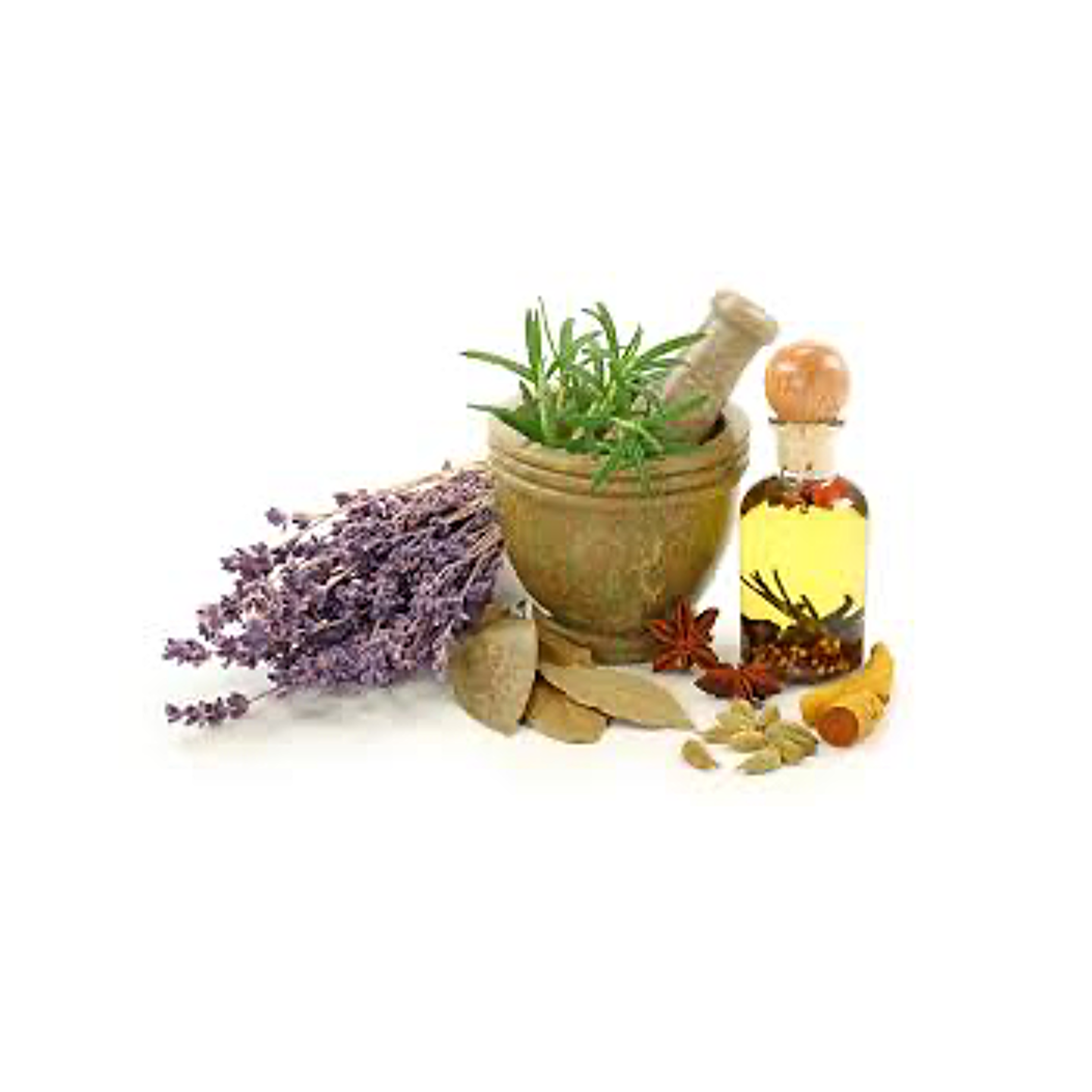 عطاری و گیاهان دارویی